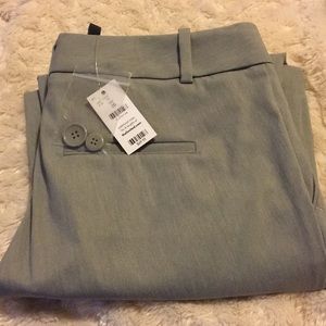 Limited Exact Stretch Light Gray Pants